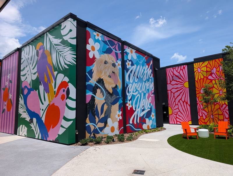 Colorful Lake Nona mural with a dog and 'Wish You Were Here' lettering